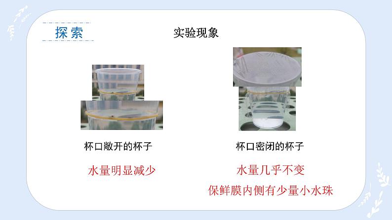 教科版三年级上册科学1.1水到哪里去了教学课件08