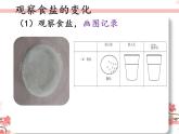 教科版一年级下册科学它们去哪里了教学课件