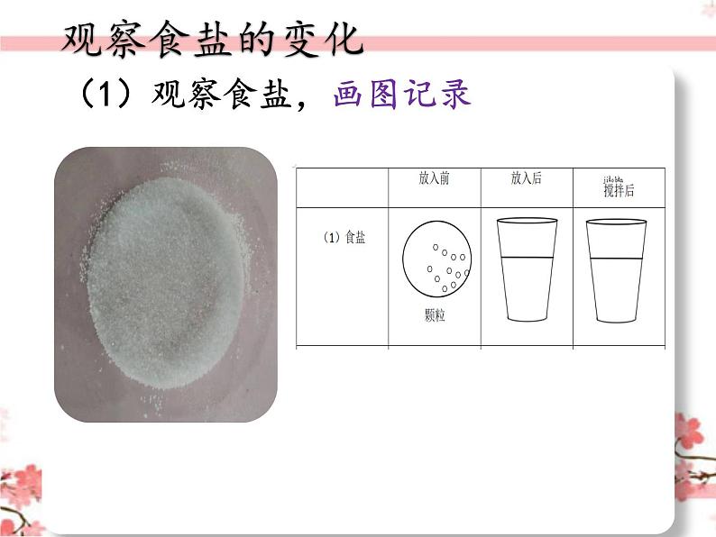 教科版一年级下册科学它们去哪里了教学课件03