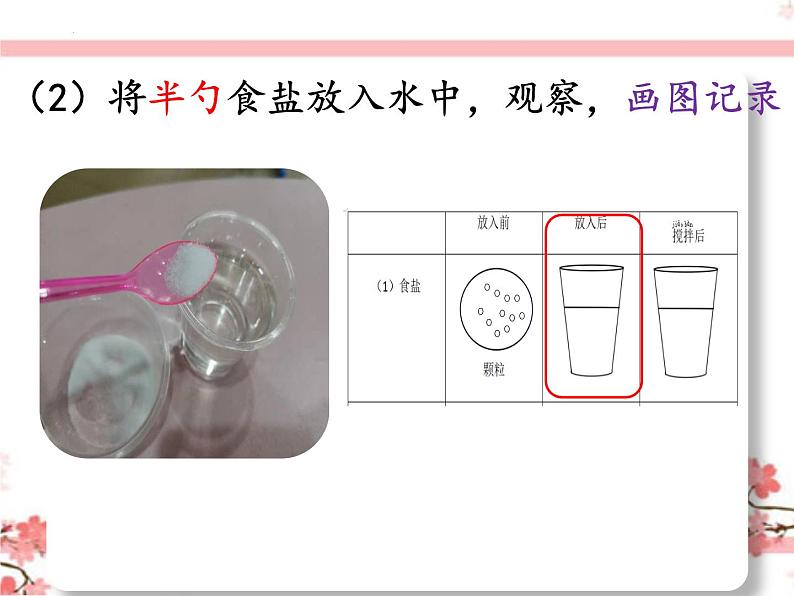 教科版一年级下册科学它们去哪里了教学课件04