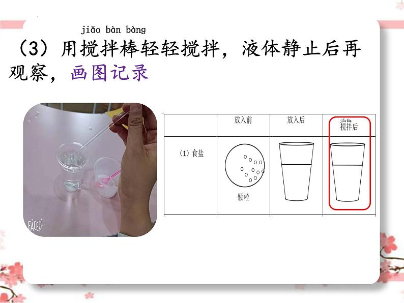 教科版一年级下册科学它们去哪里了教学课件05