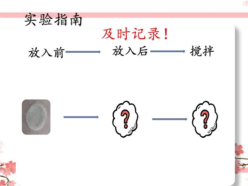 教科版一年级下册科学它们去哪里了教学课件06