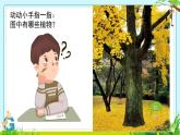 教科版一年级上册科学1《我们知道的植物》教学课件