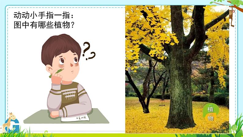 教科版一年级上册科学1《我们知道的植物》教学课件02