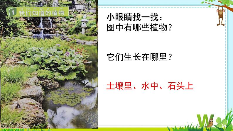 教科版一年级上册科学1《我们知道的植物》教学课件04