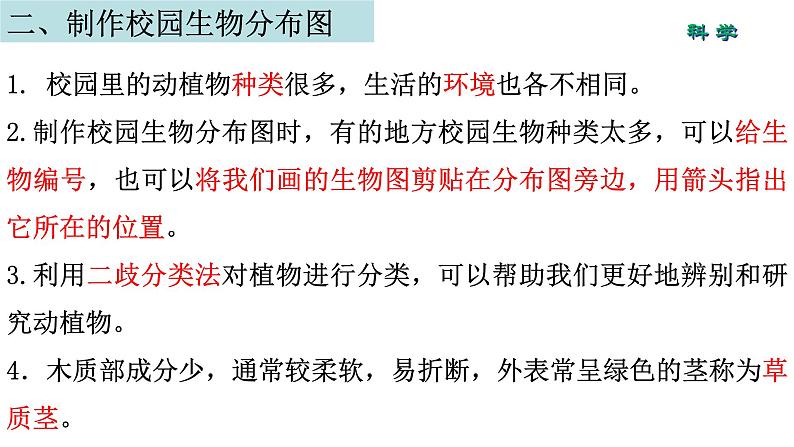 六下第二单元生物的多样性知识整理课件04