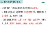 六下第二单元生物的多样性知识整理课件