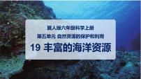 小学科学冀人版 (2017)六年级上册19 丰富的海洋资源教学演示课件ppt