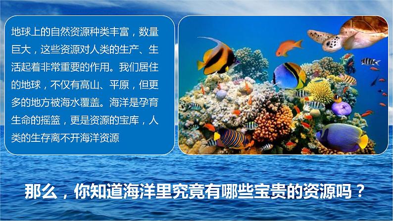 新冀人版六年级科学上册 第19课《丰富的海洋资源》课件PPT+教案02