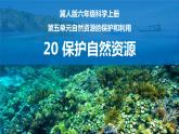 新冀人版六年级科学上册 第20课《保护自然资源》课件PPT+教案