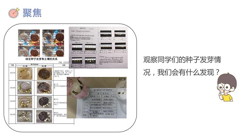 教科版五年级下册科学1.2比较种子发芽实验（教科版） 课件02