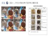 教科版五年级下册科学1.2比较种子发芽实验（教科版） 课件