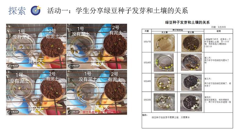 教科版五年级下册科学1.2比较种子发芽实验（教科版） 课件03