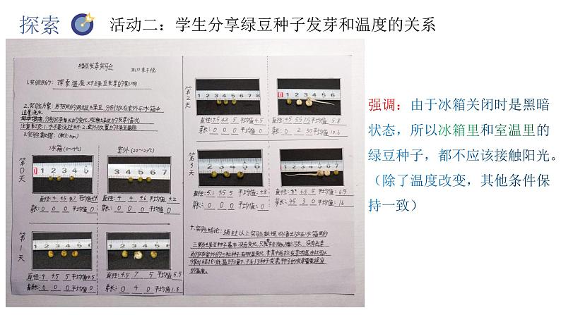 教科版五年级下册科学1.2比较种子发芽实验（教科版） 课件05