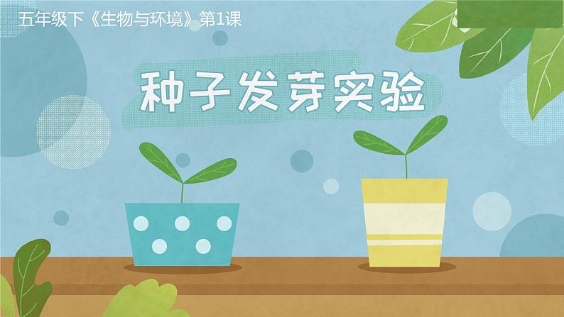 教科版五年级下册科学1.1种子发芽试验(课件）第1页