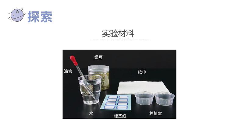 教科版五年级下册科学1.1种子发芽试验(课件）第7页