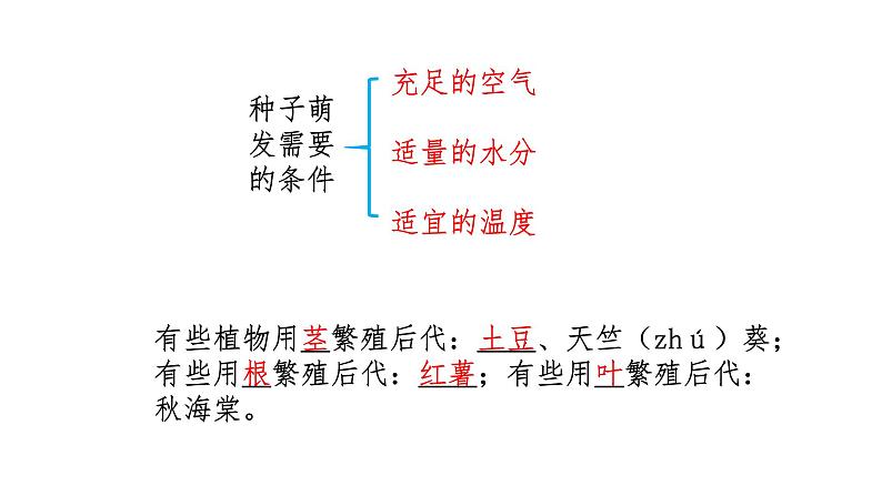 四下第一单元《植物的生长变化》复习课件07