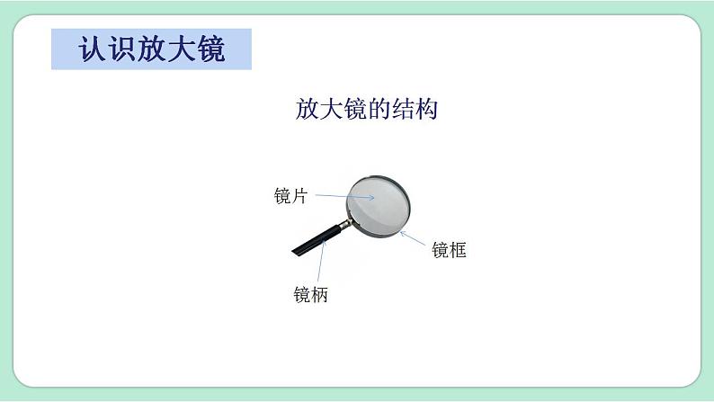 新教科版科学六年级上册 第一单元 第1课时  放大镜 PPT课件04