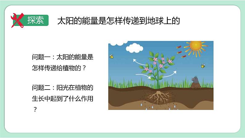 新教科版科学六年级上册 第四单元 第7课时 PPT课件04