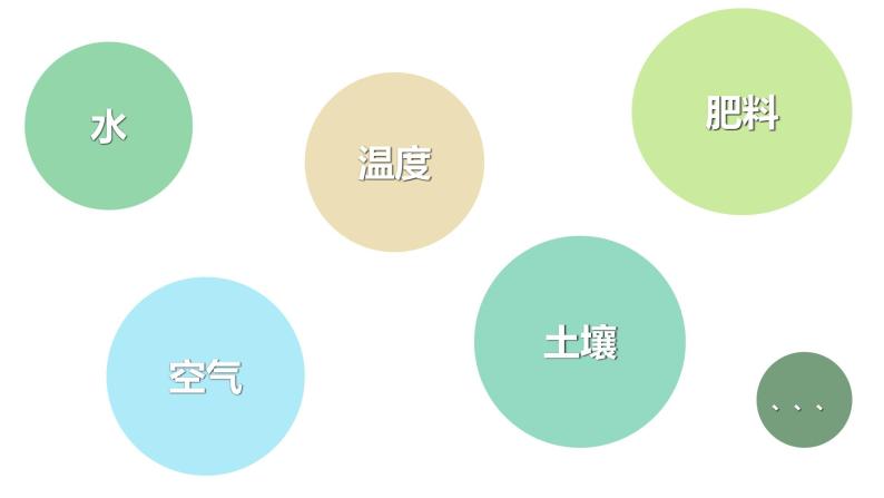 教科版科学五年级科学下册 1.1种子发芽实验 课件（送练习）04