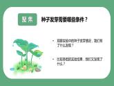 教科版科学五年级科学下册 1.2比较种子发芽实验 课件（送练习）