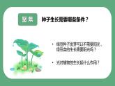 教科版科学五年级科学下册 1.3绿豆苗的生长 课件+视频（送练习）