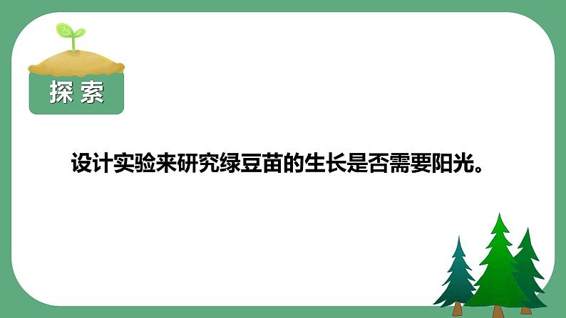 教科版科学五年级科学下册 1.3绿豆苗的生长 课件+视频（送练习）03