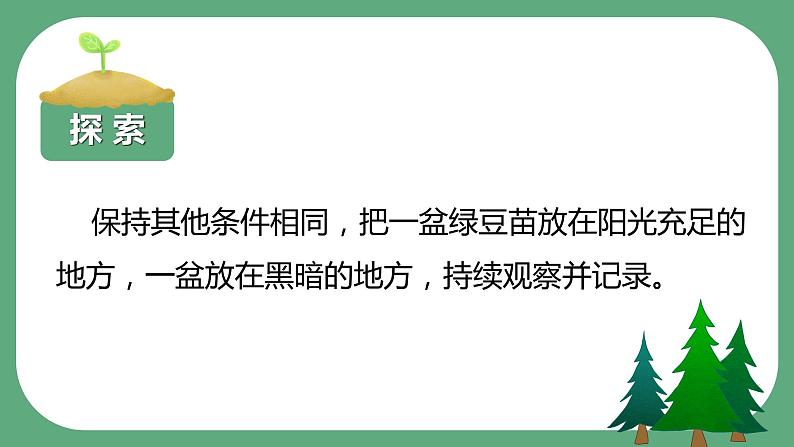 教科版科学五年级科学下册 1.3绿豆苗的生长 课件+视频（送练习）05