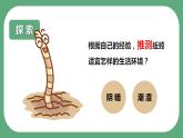 教科版科学五年级科学下册 1.4蚯蚓的选择 课件（送练习）