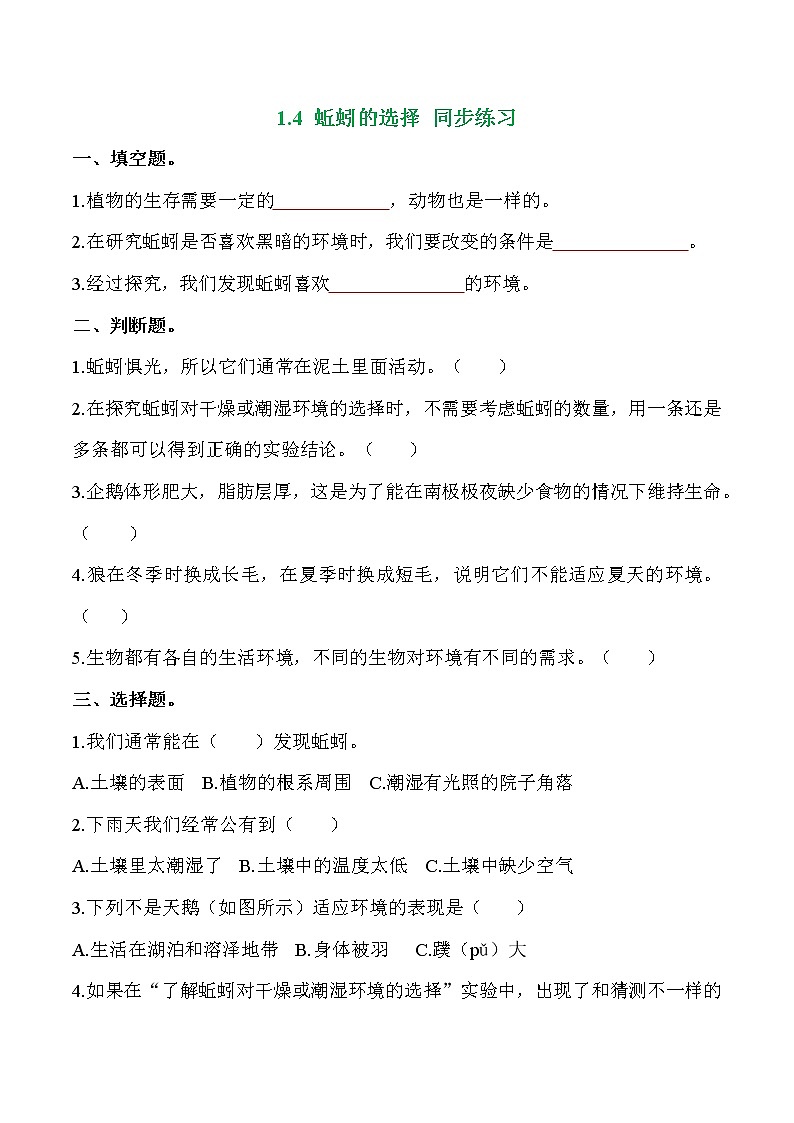 教科版科学五年级科学下册 1.4蚯蚓的选择 课件（送练习）01