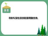 教科版科学五年级科学下册 1.6食物链和食物网 课件+视频（送练习）