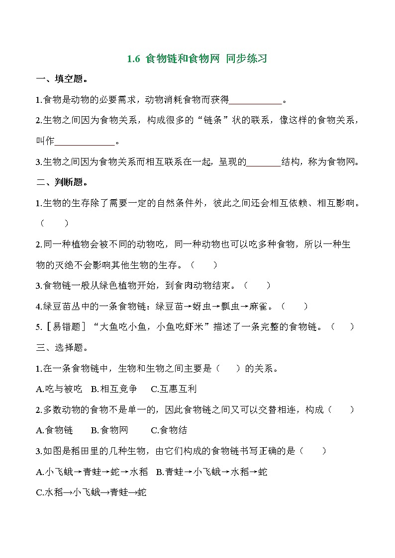 教科版科学五年级科学下册 1.6食物链和食物网 课件+视频（送练习）01