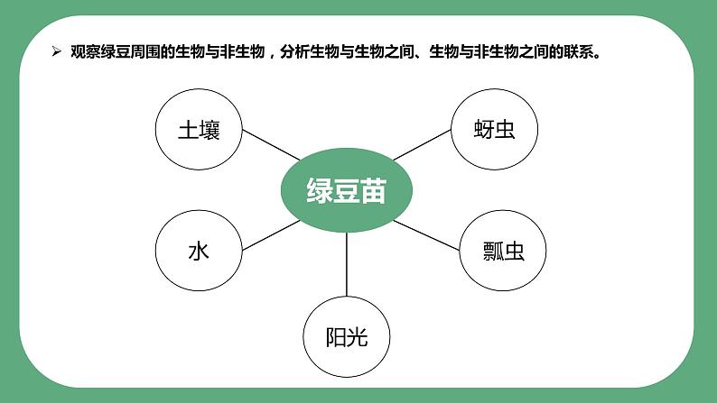 教科版科学五年级科学下册 1.7设计和制作生态瓶 课件（送练习）04
