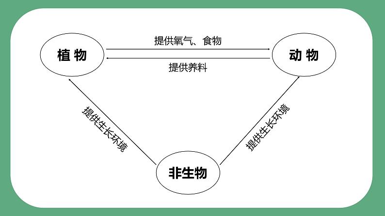 教科版科学五年级科学下册 1.7设计和制作生态瓶 课件（送练习）05