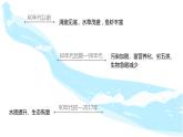 教科版科學(xué)五年級科學(xué)下冊 3.7分析一個實際的環(huán)境問題 課件（送練習(xí)）