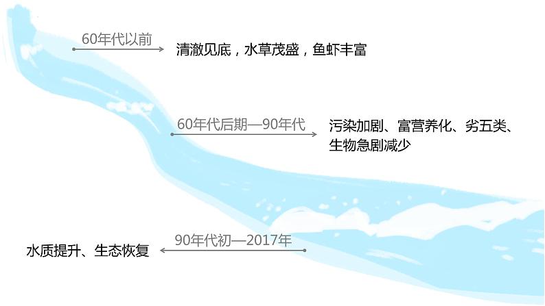教科版科学五年级科学下册 3.7分析一个实际的环境问题 课件（送练习）05