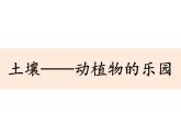 二上1-2《土壤——动植物的乐园》课件