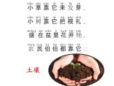 二上1-2《土壤——动植物的乐园》课件