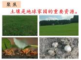 二上1-2《土壤——动植物的乐园》课件