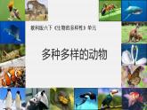 六下2.4《多种多样的动物》课件