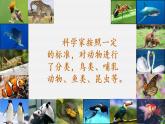 六下2.4《多种多样的动物》课件