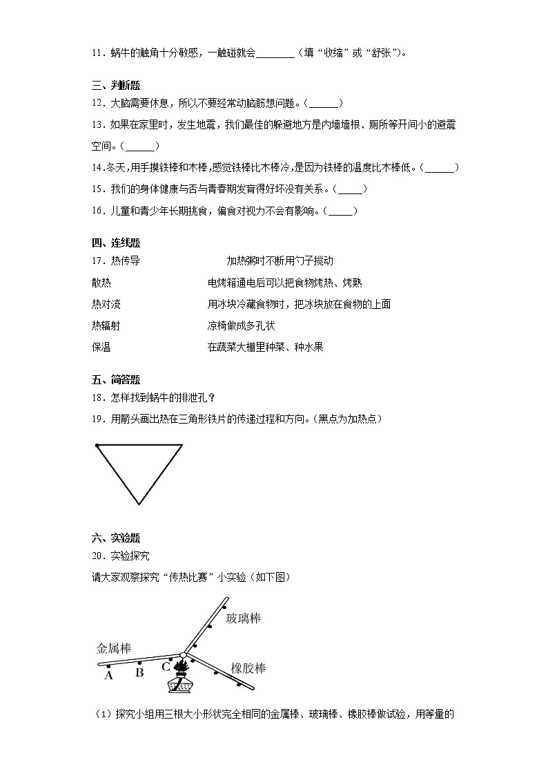 大象版科学五年级上册期末综合练习 （含答案）第2页