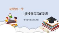 小学科学教科版 (2017)三年级下册1.迎接蚕宝宝的到来一等奖课件ppt