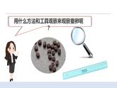 2.1迎接蚕宝宝的到来 课件（送教案）