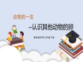 2.2认识其他动物的卵 课件（送教案）