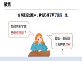 2.6蚕的一生 课件（送教案）