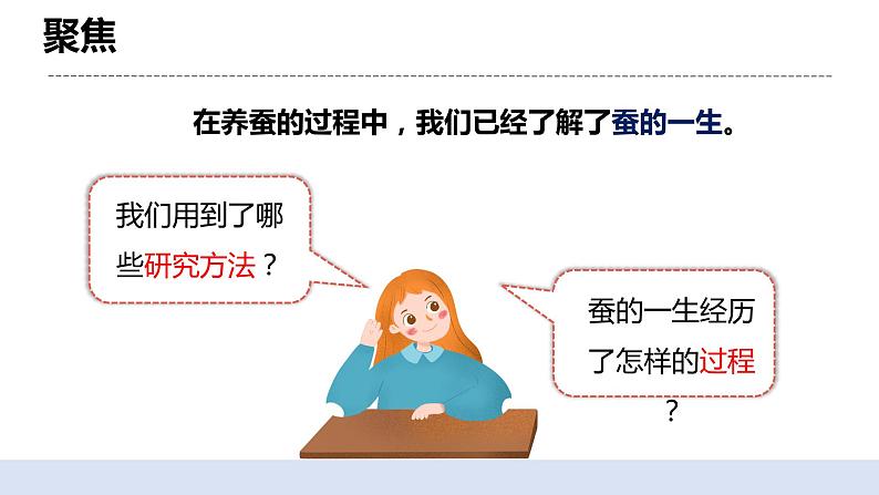 2.6蚕的一生 课件第3页