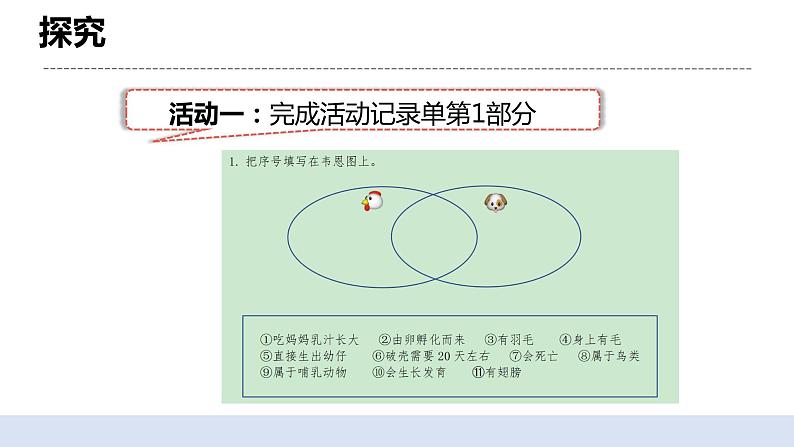 2.8动物的一生 课件（送教案）06