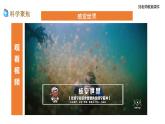 新教科版科学四年级上册1.4《我们是怎样听到声音的》教案+课件+视频
