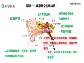 新教科版科学四年级上册1.4《我们是怎样听到声音的》教案+课件+视频